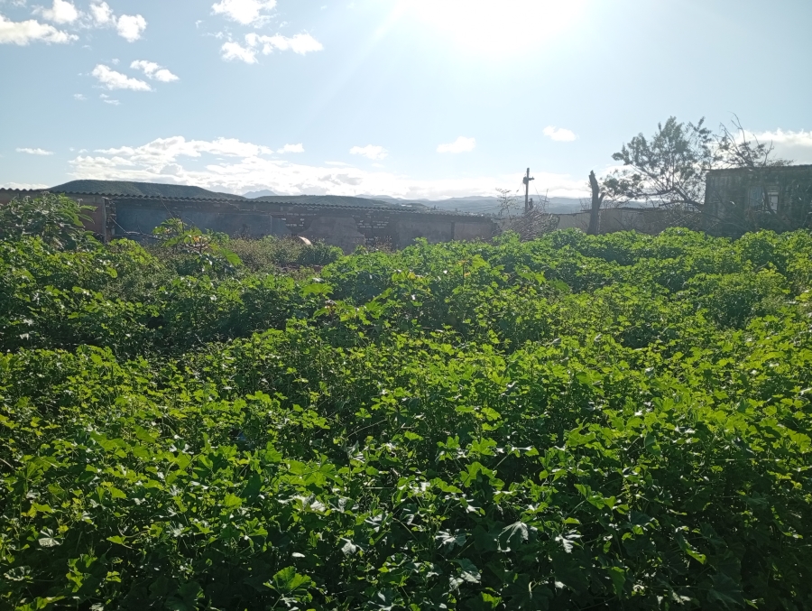 0 Bedroom Property for Sale in Gerald Smith Eastern Cape